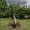 Orages : toitures envolées, énormes grêlons, coupures d'électricité... de nouveaux dégâts enregistrés dimanche