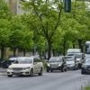 „Erhalt und Schutz der Bäume am Tempelhofer Damm“: Bürgerinitiative bringt Antrag mit 1200 Unterschriften ins Bezirksparlament ein