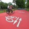 Fahrradstraße Heinrich-Mann-Allee optimiert: Neue Vorfahrtsregelungen und Markierungen