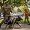 Police manhunt intensifies for suspect