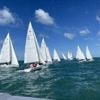 Voile. Les Sablais au rendez-vous de la 34e édition de l’Olona Cup