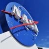 Pourquoi l’étude de la Nasa sur une nouvelle forme de vie a disparu de la revue scientifique Science