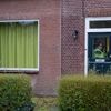 Alexandra en Robert voedden hun geheime baby met paddenstoelen: ‘Geen kleertjes, geen luiers, niets’