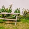 “Gazonsproeiers zijn niet efficiënt”: 5 tips om een uitgedroogde grasmat te voorkomen