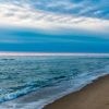 Une femme découvre une cargaison de 25 kg de cocaïne en se promenant sur une plage de Floride