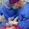 Scientists transplant a PIG lung into a human in world-first op: Organ remains viable for 9 days - paving the way for cross-species transplantation