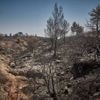 L’incendie dans l’Aude, qui a parcouru près de 16 000 hectares, est « maîtrisé » mais pas éteint