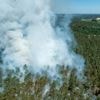 Es wird immer heißer und trockener: WWF warnt vor eskalierenden Waldbränden durch Klimakrise