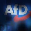 "Finde ich unerträglich": Innenminister wollen AfD-Finanzierung prüfen