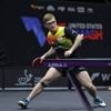 Tennis de table. Heures, chaîne : où voir l’entrée en lice d’Alexis Lebrun et des Français à Macao ?