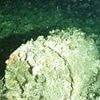 Radioactive time bomb lurks in the Atlantic as 200,000 toxic barrels threaten millions
