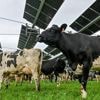 "Le seul moyen de lutter contre les gaz à effet de serre est de montrer comment la transition est bonne pour le portefeuille et la compétitivité", estime François Gemenne