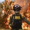 En Espagne, plus de 343 000 hectares ont brûlé depuis le début de l'année, un nouveau record pour le pays