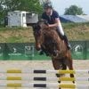 « Notre concours monte en puissance » : Près de 740 jeunes chevaux ont concouru à La Haye-Pesnel
