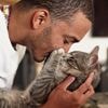 Wenn Katzen nie satt werden: Lösungen und Rat