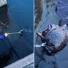 Visser verbijsterd nadat ze gigantisch, slijmerig zeewezen binnenhaalt in Zuid-Korea: ‘Wat is dat?’