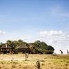 Naturerhalt und Tourismus in Kenia: Das Schutzgeld-Versprechen