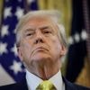 Donald Trump prêt à rencontrer Vladimir Poutine, même sans dialogue préalable avec l’Ukraine