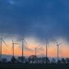 Ärger um Windräder in Berlin: Nabu fordert mehr Windkraft-Standorte außerhalb von Wäldern