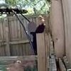 Moment schoolchildren climb fence into garden and steal PUPPY from cage