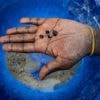 Congo's coltan miners dig for world's tech — and struggle regardless of who is in charge