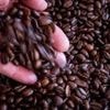 Globales Kaffeegeschäft: Neuer Kaffee-Riese geplant: Keurig Dr Pepper will JDE Peets