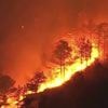 Incendies aux États-Unis : des flammes incontrôlables dans l’État du New Jersey