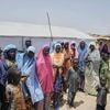 Nigeria's military says its airstrikes killed 35 Islamic militants in Borno state