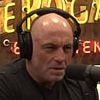 Joe Rogan visibly shaken by doctor's bombshell claims about the pandemic: 'They were euthanized'