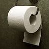 Toilet paper over or under? Scientist FINALLY settles the debate - so, do you agree with their method?