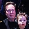 Elon Musk faces another massive blow as new study confirms his worst fear
