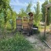 Drohungen, Brandschutz und ein Bienenstich: Imkerin Hanna und ihre Bienen sollen vom Berliner RAW-Gelände verschwinden