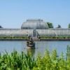 Kew Gardens' Palm House will close for five years for major makeover