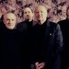 Une voix dans la pop, l’autre dans le foot… La double vie de Philippe Auclair