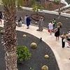 Sunbed wars begin! British holidaymakers queue for an HOUR to secure the best poolside spots at Canary Islands resort