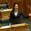 Nieuw-Zeelands parlement schorst drie Maori-politici voor protest met haka