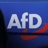 Kommt nun ein Parteiverbot?: Verfassungsschutz stuft gesamte AfD als gesichert rechtsextremistisch ein