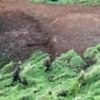 How a shoot-out ended a four-year search for a NZ bushman and his three children
