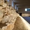Archäologie-Zentrum Petri Berlin: Blick in den Ursprung der Stadt