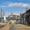Grüne Chemie in Ostdeutschland: Unis und Startup-Schmieden gründen Netzwerk
