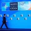 Nato-Gipfel in Den Haag: Selenskyjs neue Wege im Krieg gegen Russland
