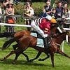 Robin Goodfellow's racing tips: Best bets for Wednesday, May 28