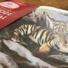 Jérôme Le Banner, ex-champion de kickboxing et acteur, condamné pour avoir adopté un bébé tigre