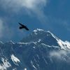 Expedition organizers say 2 climbers have died on Mount Everest