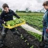 Samen bieten planten: zo zoeken boeren contact met de stad
