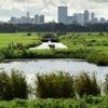 Kloof tussen stad en platteland bestaat helemaal niet, blijkt uit nieuw SCP-onderzoek