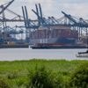 Belgische bedrijven exporteerden helft meer naar VS dankzij importheffingen Trump