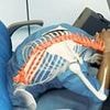 Terrifying simulation reveals why passengers must use the brace position during a plane crash