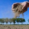 Kommt jetzt endlich der große Regen?: Das Frühjahr könnte das trockenste seit 144 Jahren werden