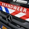 Vermiste hond uit Overijssel na anderhalve dag teruggevonden in diepe put